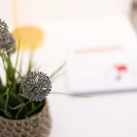 Apartament Sant'anna - Tramonto By Curtiaffitti